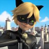 Cat Noir